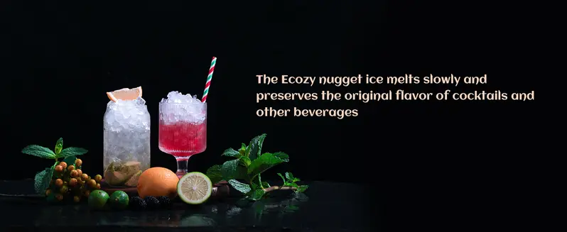 Product Introduction of ecozy Countertop Sonic Nugget Ice Maker.Chewable Ice Cubes.33 lbs Daily Output.Self-Cleaning.Stainless Steel for Party/Kitchen/Bar 20