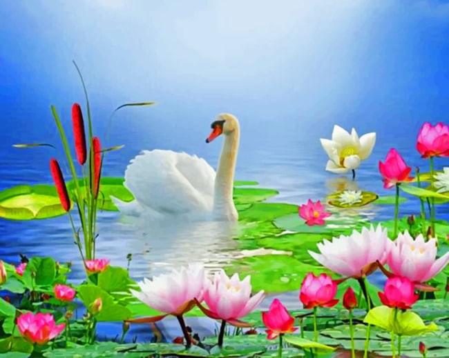 

White Swan – Paint By Numbers - 40*50CM, 501 Original