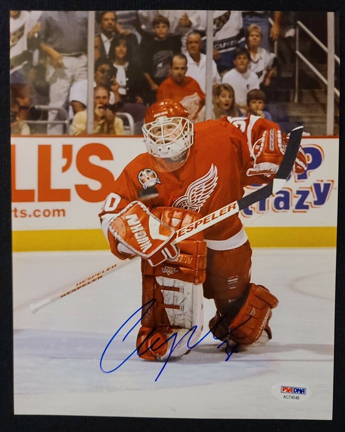 CHRIS OSGOOD signed Detroit Red Wings 8x10 Photo Poster painting -PSA/DNA COA