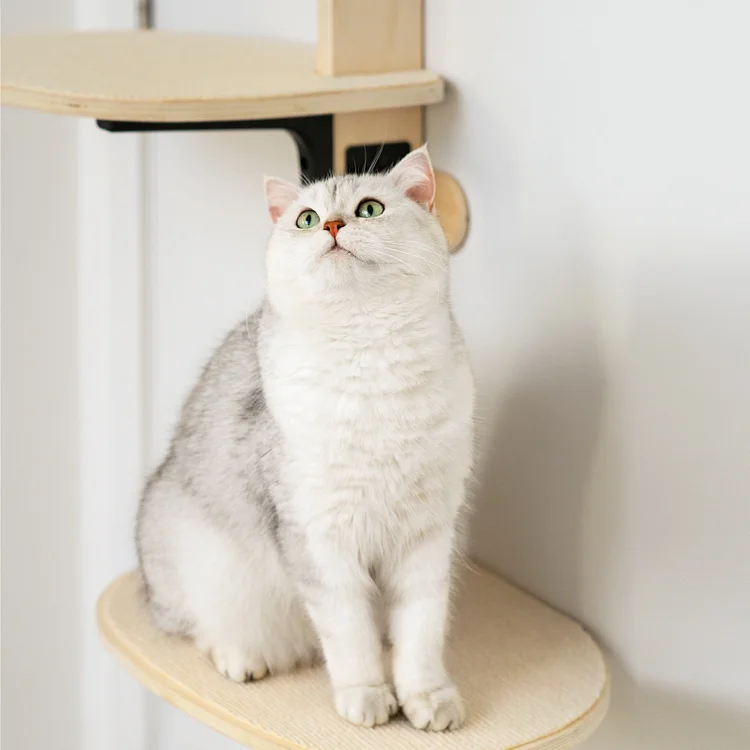 Hanging cat tree outlet door