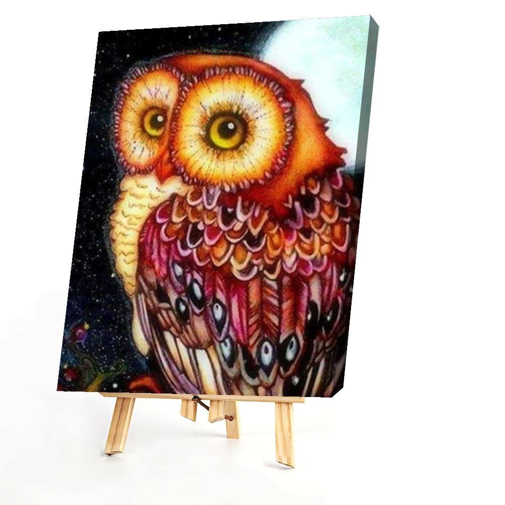 Owl  - Painting By Numbers - 40*50CM gbfke