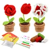 Flower Pot Crochet Starter Kits with Step-by-Step Video Tutorials, Hanging Potted Plants Knitting Starter Pack for Beginners Decoration