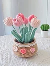 DIY Flower Potted Crochet Kit with Video Tutorial Cute Plants Hand-Knitted Tool
