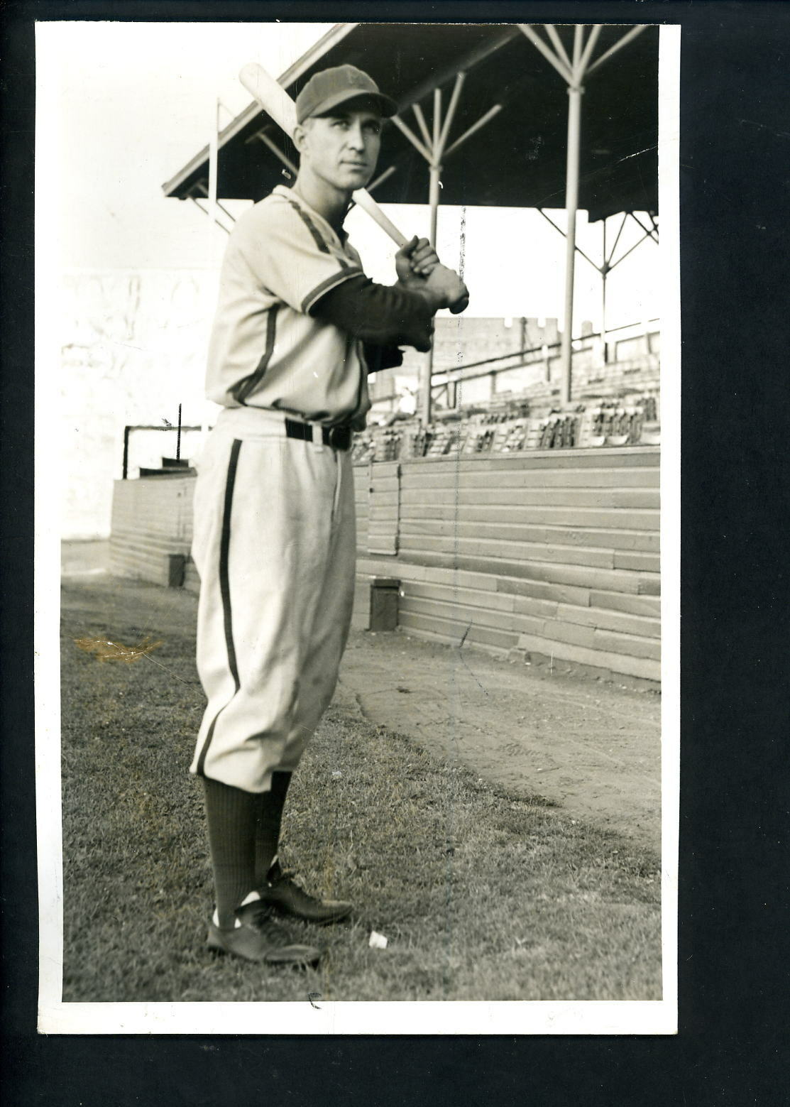 Bruce Campbell 1946 Type 1 Press Photo Poster painting Minneapolis Millers