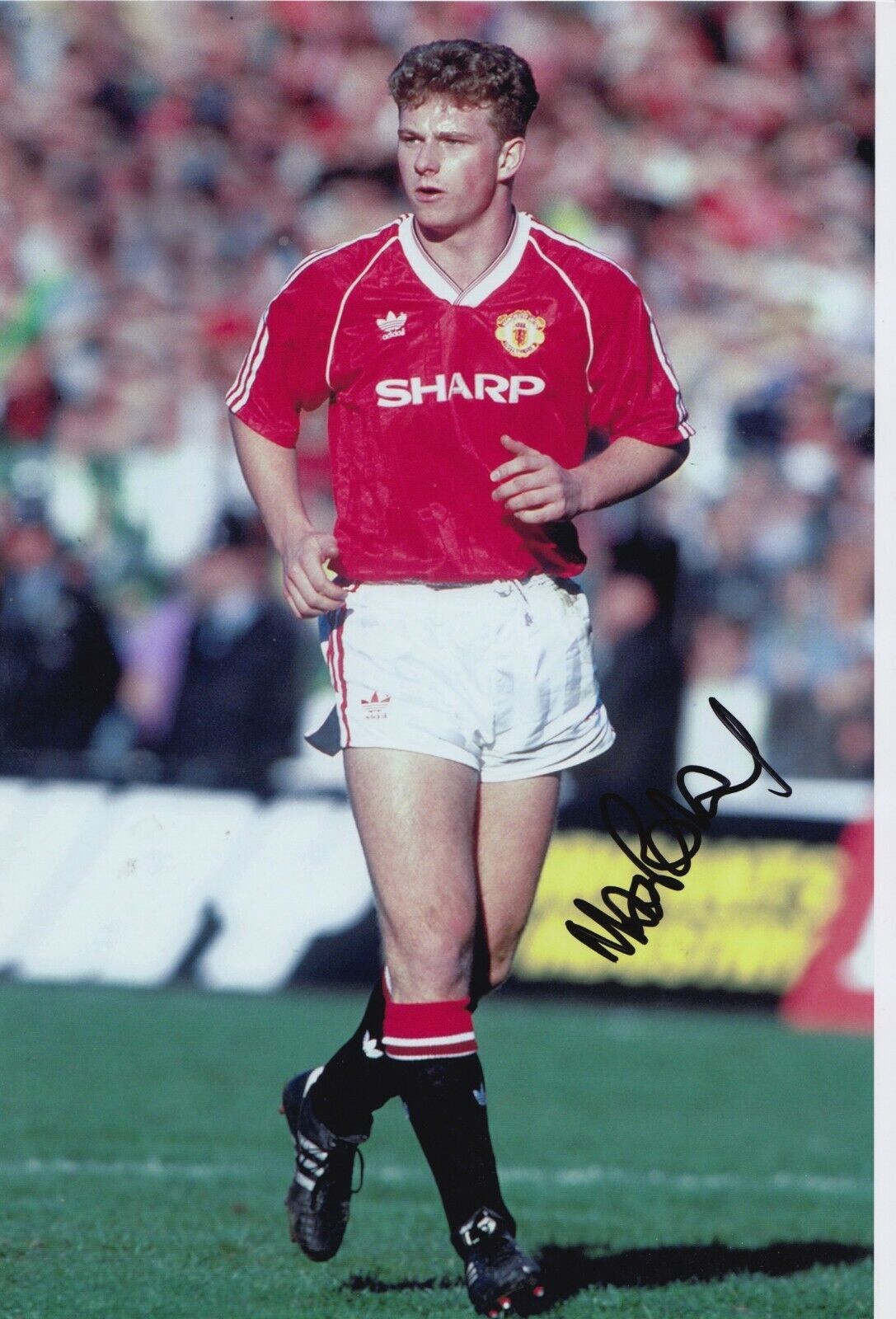 Mark Robins Hand Signed 12x8 Photo Poster painting - Manchester United Autograph.