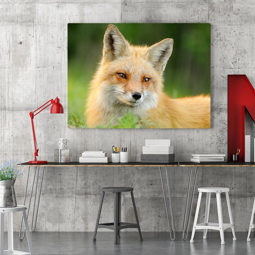 Diamond Painting - Full Round - Fox
