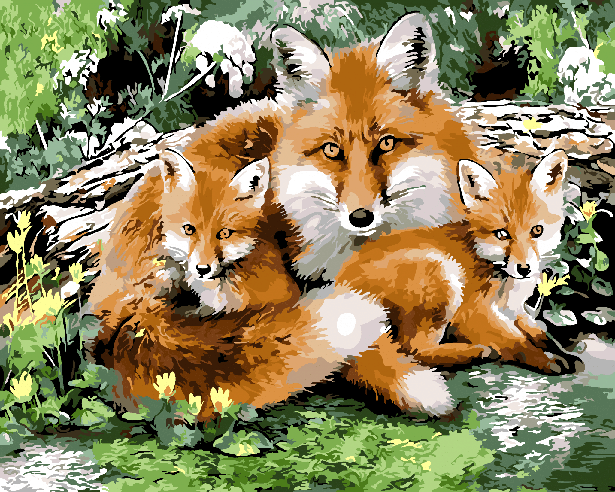 

Wild Fox Family – Paint By Numbers - 40*50CM, 501 Original