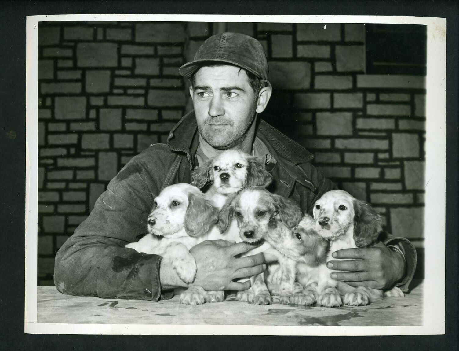 Rollie Hemsley hunting dog puppies circa 1940 Press Photo Poster painting Cleveland Indians