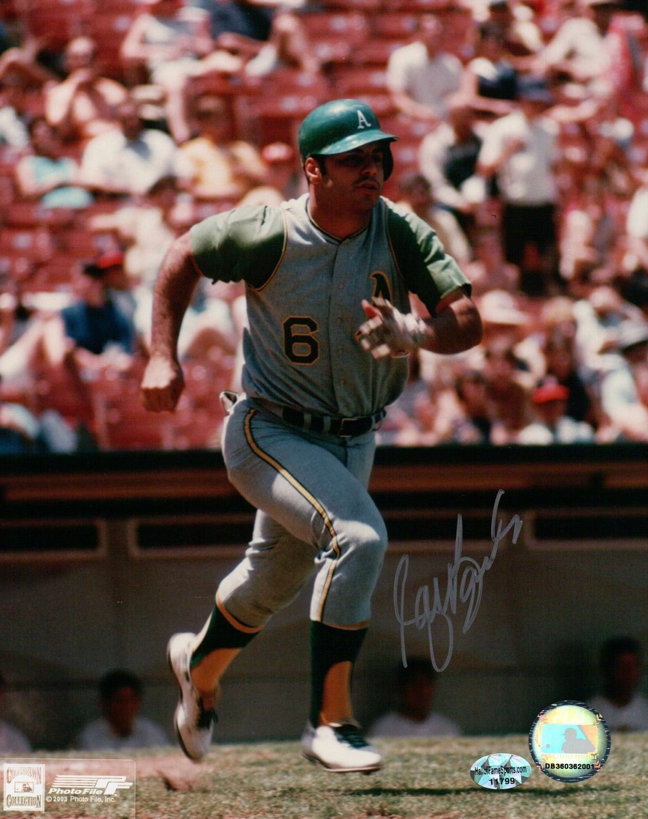 Sal Bando Signed 8X10 Photo Poster painting Autograph Base Running Silver Ink A's w/COA Auto