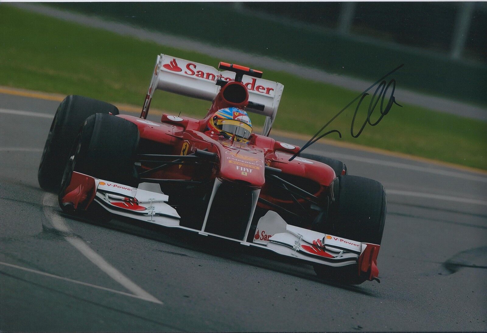 Fernando Alonso Genuine SIGNED In Person AUTOGRAPH Ferrari F1 12x8 Photo Poster painting AFTAL