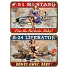 2PCS Airplane Girl - Metal Tin Signs Set(8*12Inch/12*16Inch)