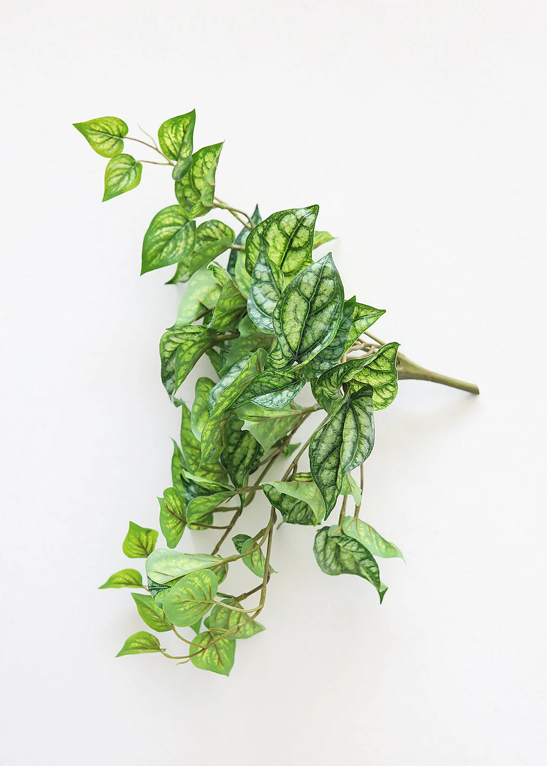 UV Protected Peperomia Fake Hanging Plant - 19.5"