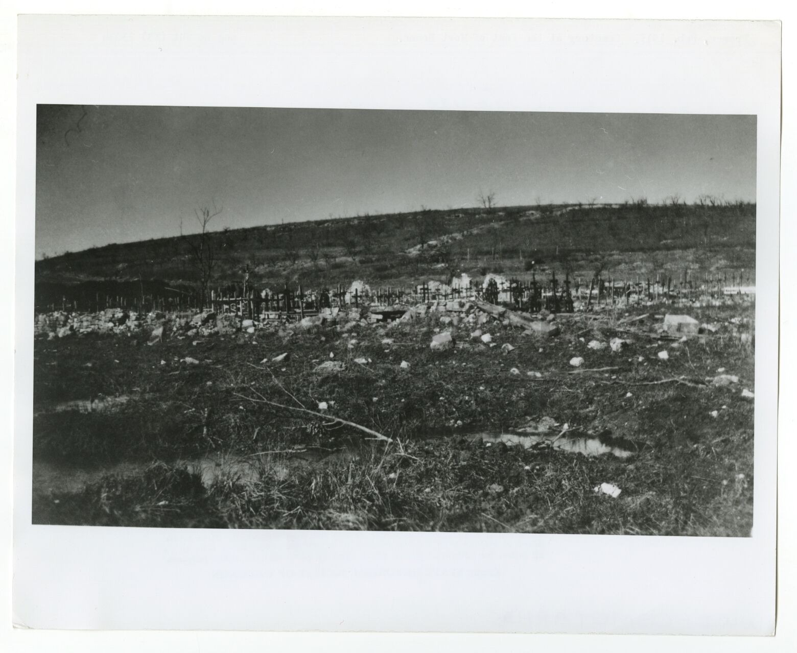 World War I - Vintage 8x10 Publication Photo Poster paintinggraph - Battlefield Cemetery