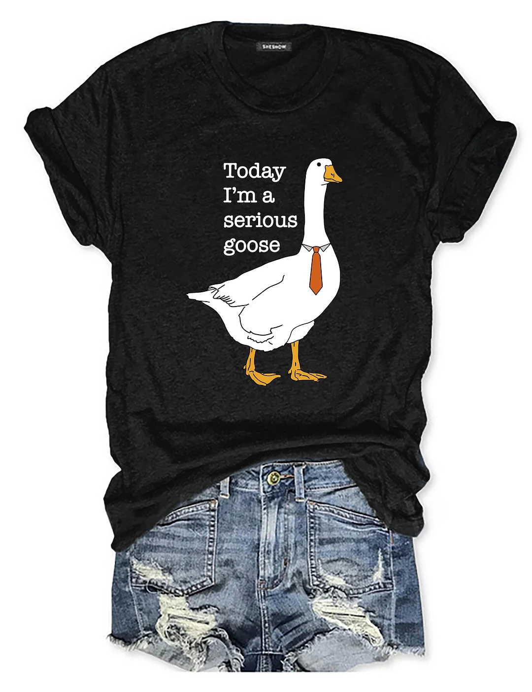 Today I'm A Serious Goose T-shirt