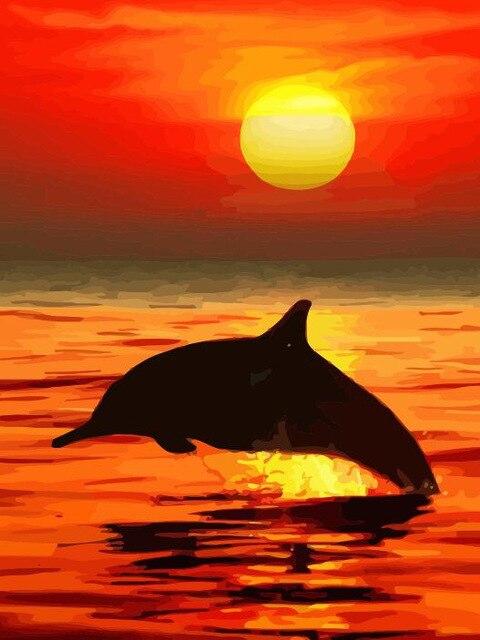 

Dolphin Sunset – Seascape Paint By Numbers - 40*50CM, 501 Original