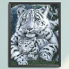 Bead Embroidery-9CT Printed Partial Embroidery-Tiger(45*57cm)