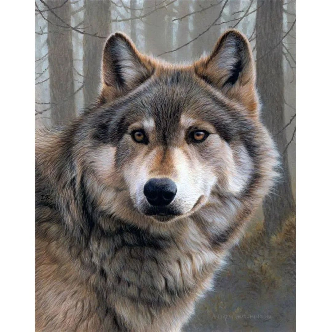Full Round Diamond Painting - Wolf(30*40cm)