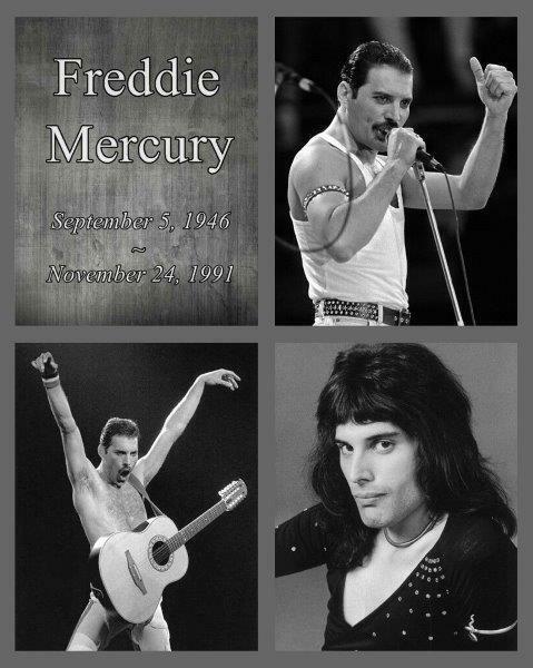 FREDDIE MERCURY 1946 - 1991 Queen Singer 8 x 10 Glossy Poster Print Man Cave