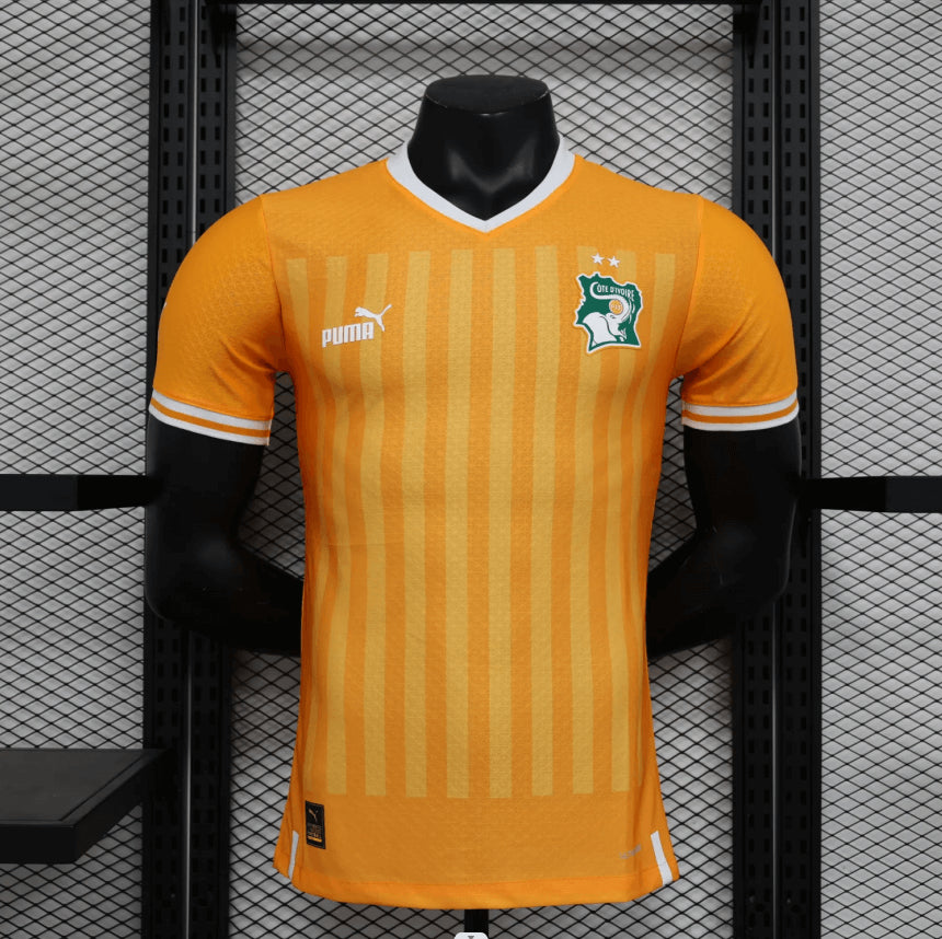 2022 Player Version Côte d'Ivoire National Team Home Shirt mysite