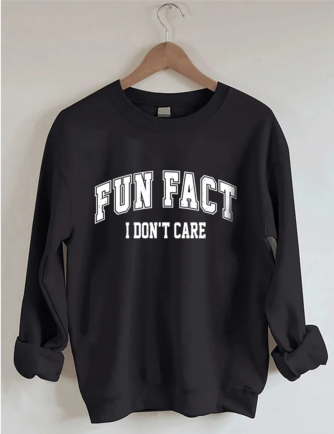 Fun Fact I Don't Care Sweatshirt