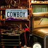 Cowboy - Enseigne M&eacute;tallique de permis de voiture(30*15cm)