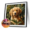 Diamond Painting-DIY Full Round Drill Farm Dog