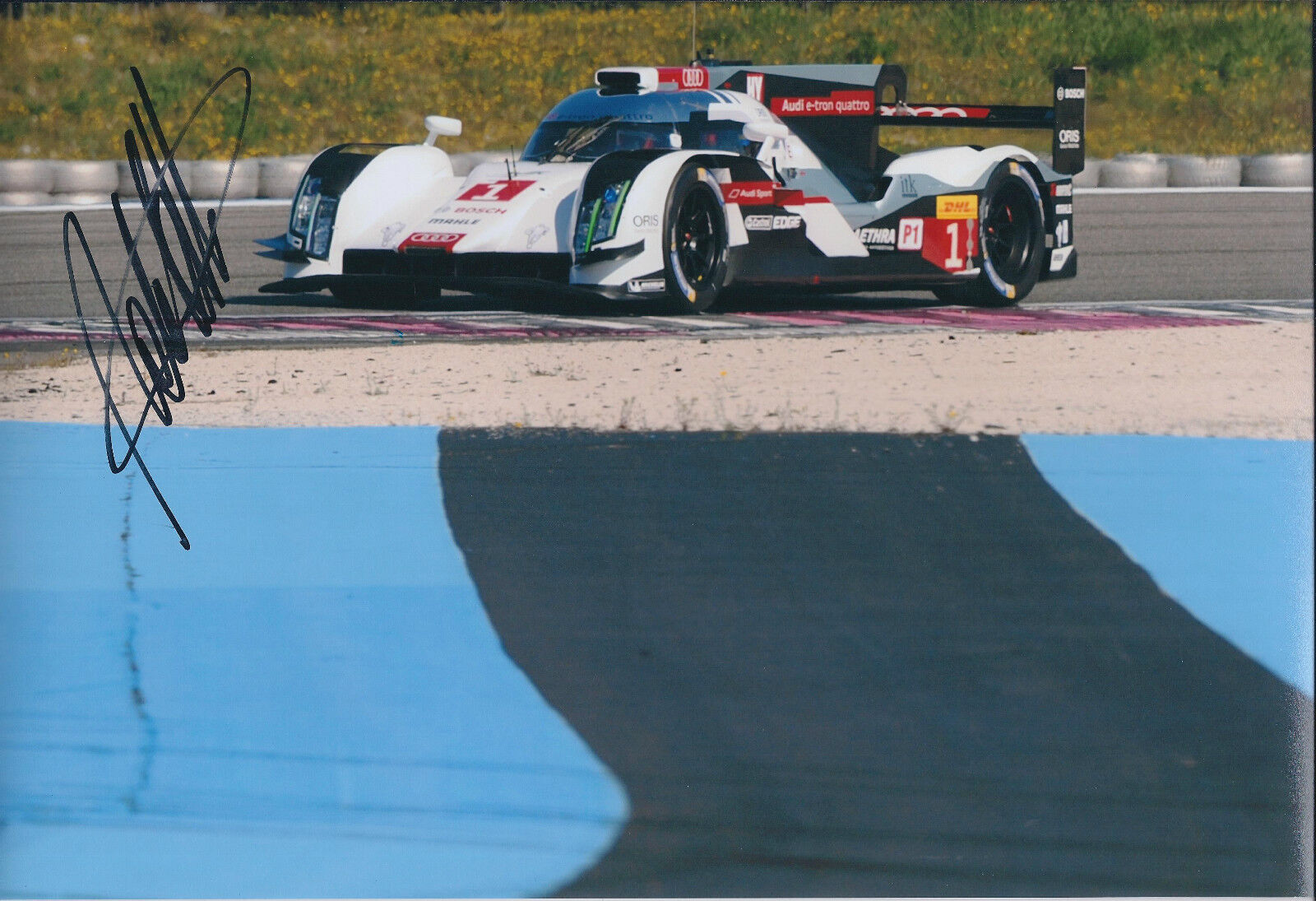 Andre LOTTERER AUDI RARE WEC FIA Endurance Signed Photo Poster painting Autograph AFTAL COA