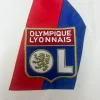 Retro 2010-11 Lyon Soccer Jersey Home
