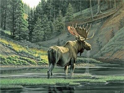 

Moose By a River – Paint By Numbers - 40*50CM, 501 Original