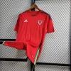 2024 Wales HomeFootball Shirt 1:1 Thai Quality