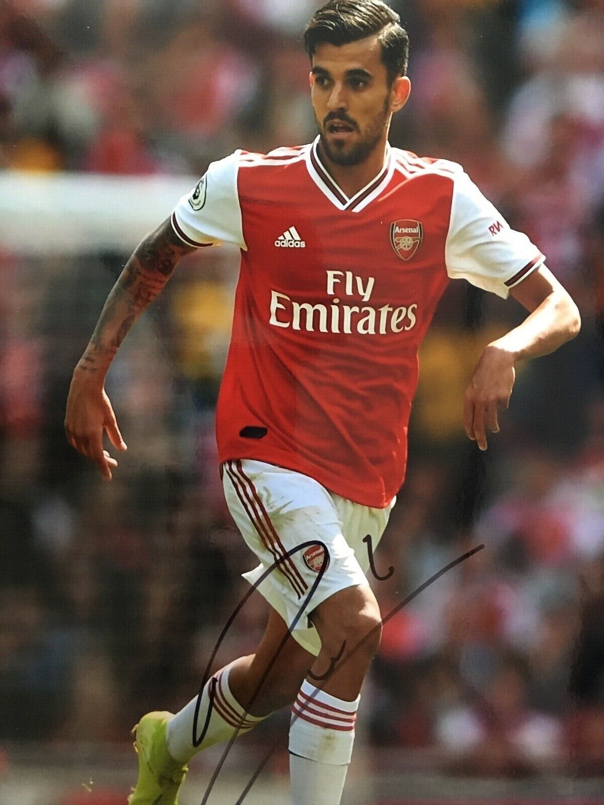 DANI CEBALLOS - POPULAR ARSENAL FOOTBALLER - EXCELLENT SIGNED COLOUR Photo Poster painting