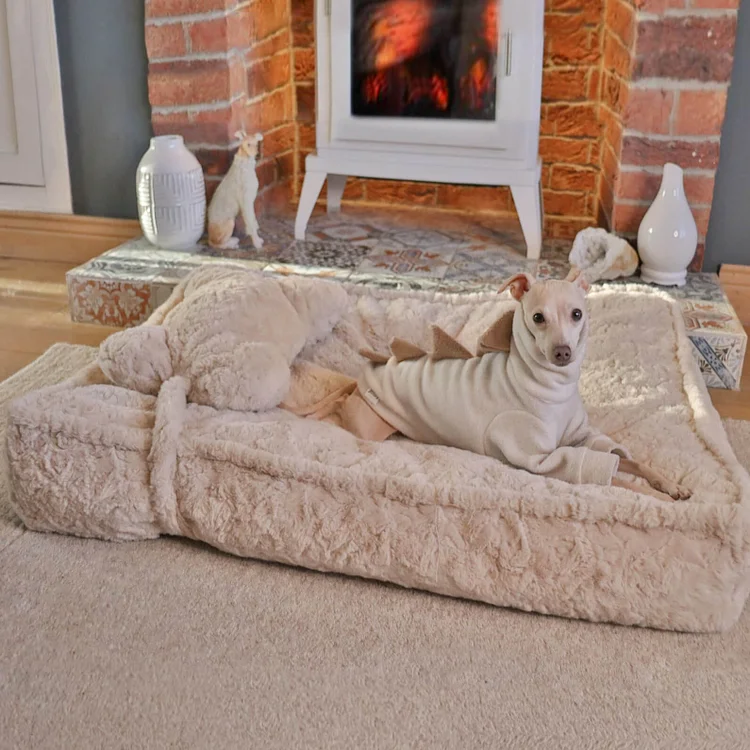 Warming Fluffy Bone Cloud Shape Claiming Dog Bed