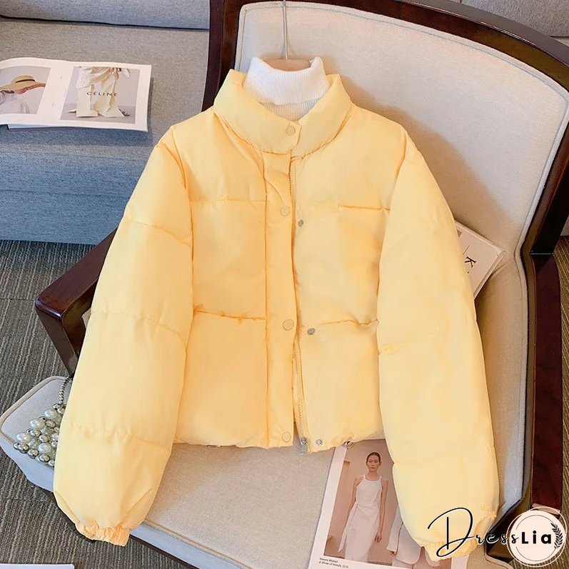 Timeless and Elegant winter Jacket