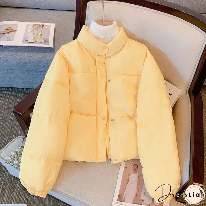 Timeless and Elegant winter Jacket