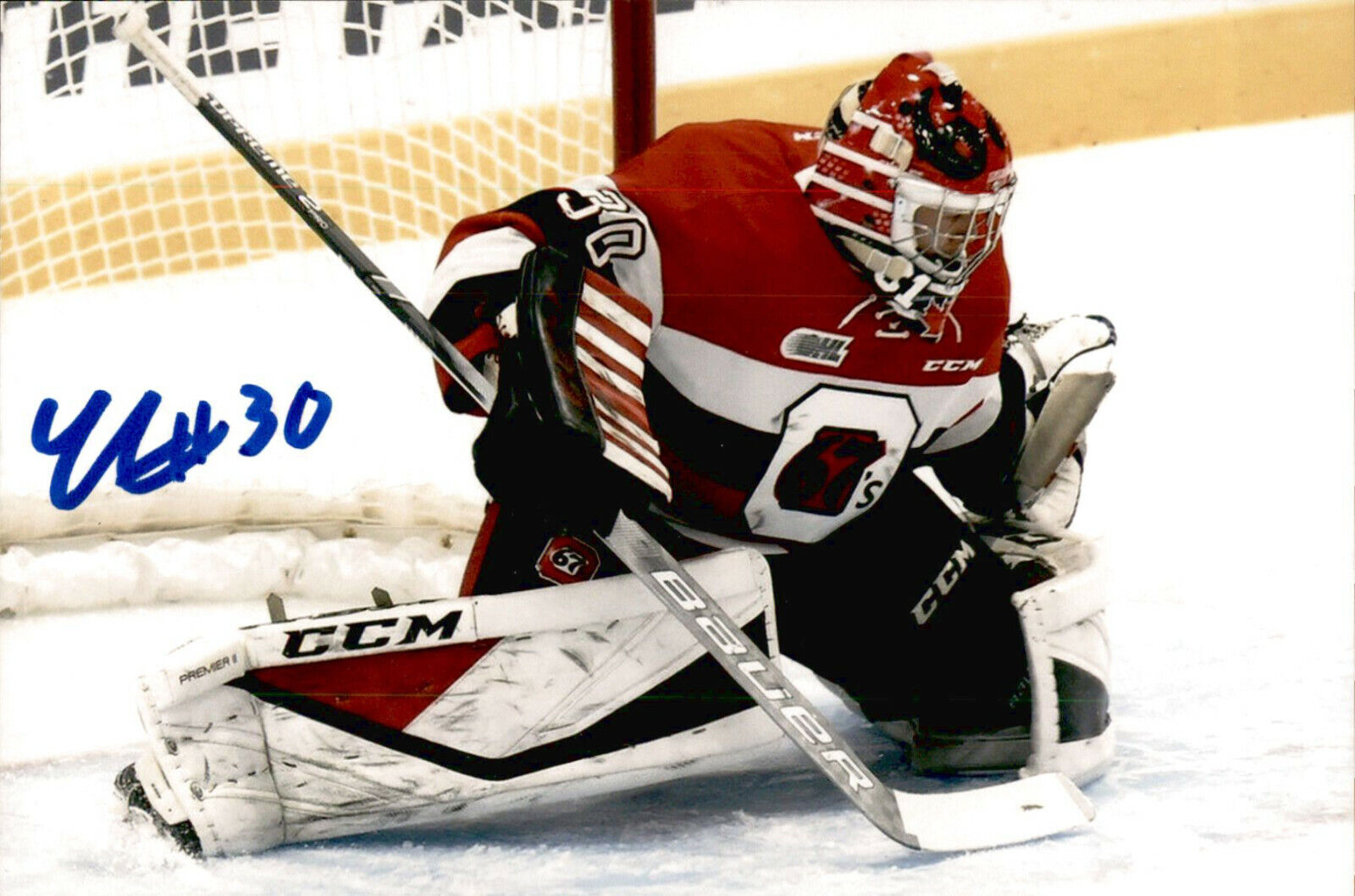 Cedrick Andree SIGNED 4x6 Photo Poster painting OTTAWA 67's #3