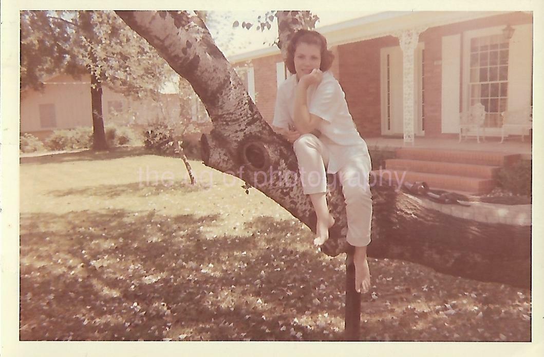 FOUND Photo Poster paintingGRAPH Color TREE GIRL 1960's Original Snapshot VINTAGE 112 23 L