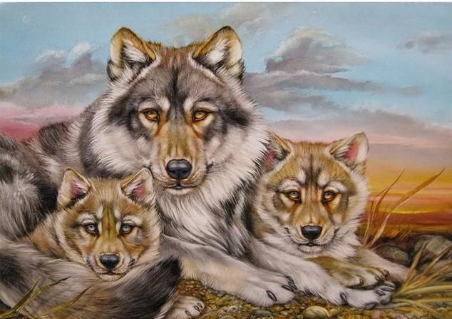 

Grey Wolf Family – Paint By Numbers - 40*50CM, 501 Original