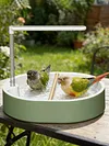 Automatic Parrot Bathtub with Circulating Shower System Parrot Bath Shower for African Grey Cockatiel Conure Budgie Lovebird