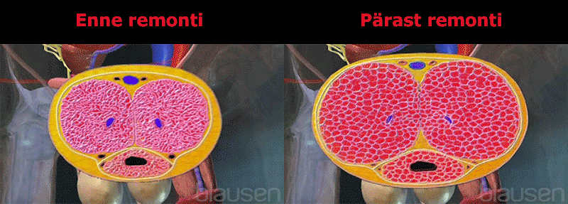 Kreator witryn jednostronicowych COD, QQ: 494906791 / WeChat: Cod_web