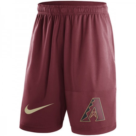 Men's Arizona Diamondbacks  Red Dry Fly Shorts