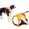 All-in-one Harness and Leash Set