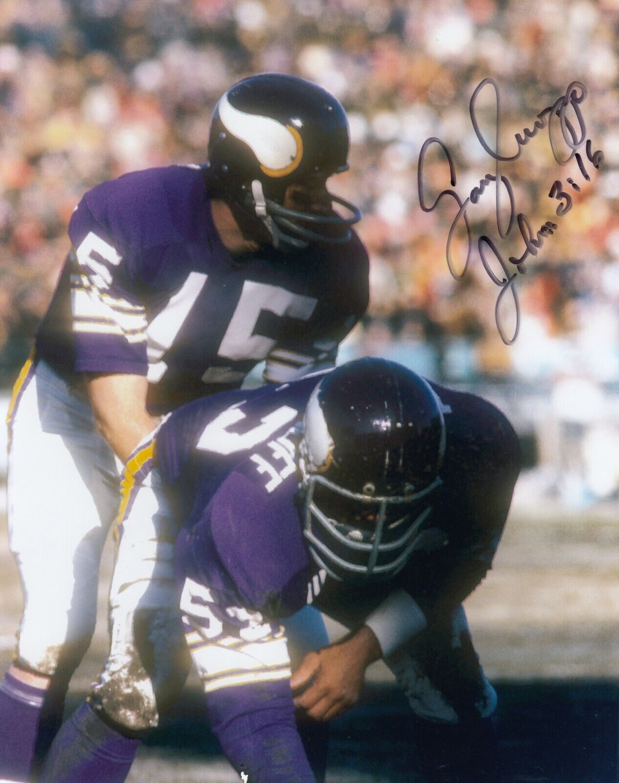 Gary Cuozzo #3 8x10 Signed Photo Poster painting w/ COA Minnesota Vikings 031019