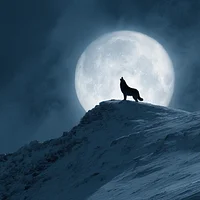 Wolf Howl at Full Moon - Diamond Painting