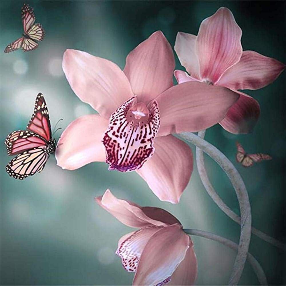 

Pink Orchid – Paint By Numbers - 40*50CM, 501 Original