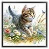 Cat-Partial 11CT Stamped Cross Stitch Bead Embroidery 36*36cm/14.17*14.17in tapestrymarket