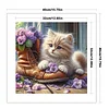 Shoes Cat-11CT Stamped Cross Stitch 40*40cm/15.75*15.75in