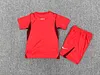 2026 Kids Size T&uuml;rkiye National Team Away Football Shirt 1:1 Thai Quality 