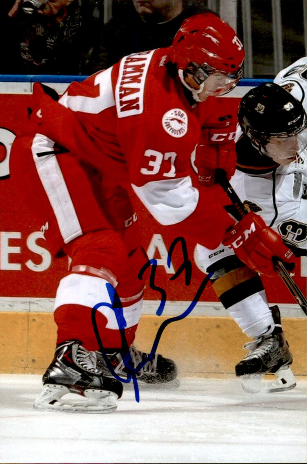 Gustav Bouramman SIGNED autographed 4x6 Photo Poster painting SOO GREYHOUNDS / MINNESOTA WILD