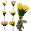 Twinkling Tree Tulips