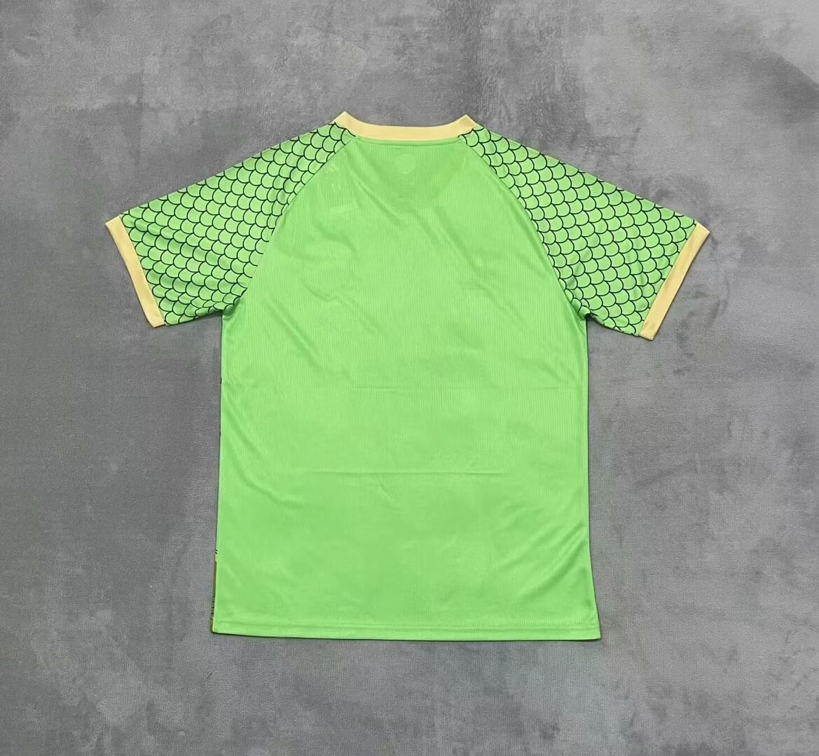 2024 Japan Special Edition Green Soccer Shirt Thai Qulity